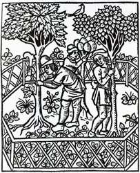 Soins des vignes de 